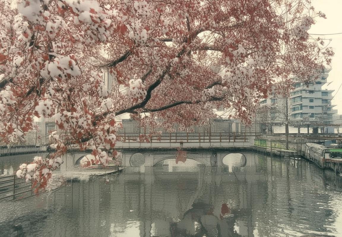 2020赛季乌鸦队布朗队巅峰对决：激战纪实与战术解析(图4)